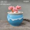 Vaso de Flor Carnuda Cerâmica Jardinagem Cerâmica Mini Novo Criativo Grés Casa Vintage Novo Vaso de Porcelana Vaso