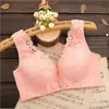 Sujetador Ajustable de Encaje Sin Aros Ropa Interior Sexy Escote Profundo Push-up Pecho Pequeño Grueso Fino Camiseta Interior Sujetador Cómodo