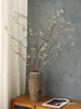 Fruta de Banyan Fruta Blanca Pequeña Flor Seca Ramo Ramas Tronco de Árbol B&B Ramas Secas Decoración de Fruta Seca Arreglo Floral Wabi-Sabi Flores Reales Secadas al Aire