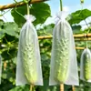 Bolsas Protectoras Impermeables y a Prueba de Insectos de Tejido No Tejido Especializadas para Huertos Caseros, Adecuadas para Pepinos, Melones Amargos y Berenjenas, para Cultivo de Frutas y Verduras al Aire Libre