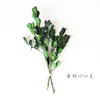 Materiais de Flores Secas Galhos Bolotas Pinhas Algodão Vagens de Lótus Jardim de Infância Artesanato Velas Aromáticas Fatias Decoração Adereços para Fotos