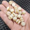 Raíz de Bodhi blanca cuentas viejas cuentas sueltas lineales Tianzhu luantong pulsera collar accesorios de joyería cuentas hechas a mano venta al por mayor