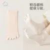 Meias de Cinco Dedos para Mulheres, Meias de Cano Médio, Estilo Fino para Primavera e Verão, Meias Longas Modernas com Dedos Separados, Meias de Algodão Respiráveis e Absorventes de Suor de Cinco Dedos