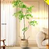 Planta verde de simulación, bambú Nantian, planta falsa, de alta gama, ligera, de lujo, para sala de estar, árbol decorativo, adorno de piso en maceta grande para interiores.