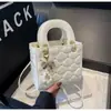 Bolsa Diana Nueva Primavera 2026 Bolso de Mano Casual para Mujer Textura Única Moderno Versátil Bolso de Hombro Cruzado