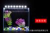 Suministro Directo de Fábrica Luz LED T4 para Buceo Luz para Acuario Iluminación de Paisajismo Zengyan Acuario LED Acuario Luz Impermeable