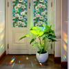 Xc9077 Laser Fresco Flor Branca Pequena Folha Verde Decoração de Porta e Janela de Vidro para Casa Adesivo Eletrostático Exportação Atacado Sem Cola