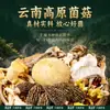 Pacote de Sopa de Cogumelos de Yunnan da Academia de Ciências Agrícolas de Yunnan, Sopa de Frango Cozido com Cogumelos, Pacote de Ingredientes para Sopa de Cogumelos Secos Morel e Matsutake, Item de Presente