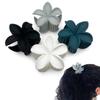 Conjunto de quatro peças Amazon Bauhinia escura clip de pintura spray fosco clip de tubarão parte de trás do cabelo coque Lady