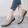 Sapatos Versáteis para o Dia a Dia de Mulheres de Meia-Idade e Idosas 2026, Sapatos de Mãe, Sapatos para Ir ao Trabalho, Sapatos de Viagem, Mocassins