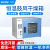 Horno de Secado por Aire Caliente de Temperatura Constante Instrumento Norte-Sur DHG Horno para Granos y Medicinas Horno Industrial