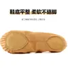 Zapatos de baile mujer suela blanda color camel niños adulto zapatos de baile cuerpo yoga zapatos garra de gato interior zapatos de ballet al por mayor