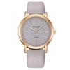 2024 Estilo Caliente Moda Gypsophila Reloj de Dama Reloj de Mujer Reloj de Cuarzo Correa Reloj de Mujer Esfera Ultrafina