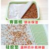 Papel Semillero Brotes, Papel Hidropónico Humectante para Brotes de Frijol, Papel para Balcón para Cultivar Verduras, Papel de Plantación, Tapete de Silicona, Vela Transpirable