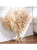 Ramo Grande de Hierba de la Pampa Cañas Secas Venta Caliente Transfronteriza Estilo Nórdico Decoración de Boda Arreglo Floral Adorno Fuente de Fábrica Venta al por Mayor