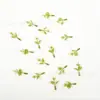 Hojas de Eucalipto Artificiales con Hojas de Dinero Impresas en Seda, Accesorios Florales para Manualidades DIY de Vegetación Hecha a Mano, Materiales y Accesorios de Rama Única de Eucalipto