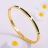 Pulsera Dorada Rakol Europea y Americana Transfronteriza No se Desvanece, Incrustada con Diamantes Diseño de Nicho, Pulsera Simple y Lujosa