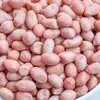Cacahuates Frescos, Stock Nuevo, a Granel, de Piel Blanca, Cacahuates Rosas Frescos, para Uso Comercial y Doméstico, Cacahuates de Arena Blanca