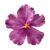 Pasador de Flor de Hibisco Hermosa Nuevo Estilo Transfronterizo de Hawái Moda Estilo Vacaciones Flequillo Clip Lateral Clip para Foto en la Playa