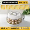 Incubadora de Huevos, Incubadora Pequeña para el Hogar, Incubadora Inteligente Totalmente Automática, Incubadora Especial para Huevos de Ave, Loros y Pájaros Raros