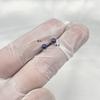 SMTNEK ASTM F-136 implantado liga de titânio três garras de zircão lábio prego orelha pinos língua unha acessórios