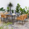 Mesa y Silla de Ratán para Exterior Villa Patio Terraza Ocio Silla de Ratán Jardín Simple Solárium Impermeable Protección Solar Mesa y Silla de Ratán