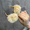 [Linda horquilla de bola de pelo pequeña] Pinza para el pelo de imitación de conejo Rex para otoño e invierno, accesorios para el cabello con clip lateral de peluche de celebridad de Internet.