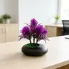 Nuevo Lavabo Plano de Piedra Negra Combinación con Planta Verde Mini Bonsái Escritorio de Oficina Mini Maceta Artificial Accesorios para Fotografía de Plantas