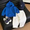 Ropa infantil coreana 2026 otoño nueva colección suéter con capucha lindo azul dopamina y pantalones rectos para niños y niñas