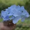 Simulación de comercio exterior transfronterizo 27 cabezas hortensia tela de seda ramo falso boda decoración del hogar simulación cifrado hortensia