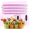 Luz para Plantas LED Barra de Luz para Crescimento de Plantas 12v luz para plantas cinco tubos de luz para plantas quatro barras de luz para plantas