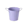 Fornecimento Transfronteiriço de Flores Coloridas para Jardim, Plantas Verdes Suculentas, Arranjos Florais, Baldes de Ferro Metálico, Latas de Armazenamento de Papelaria para Mesa