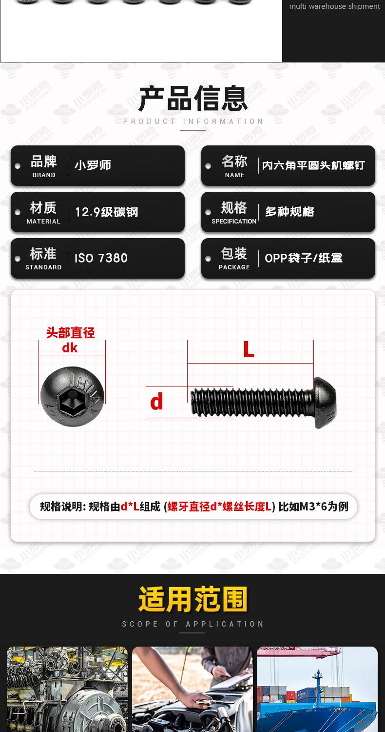 高强度盘头内六角 (3).jpg