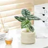Planta de Escritorio en Maceta Persona Perezosa Purifica el Aire Florales de Interior Sala de Estar Oficina Plantas Verdes Estilo Ins Escandinavo Hogar Nuevo