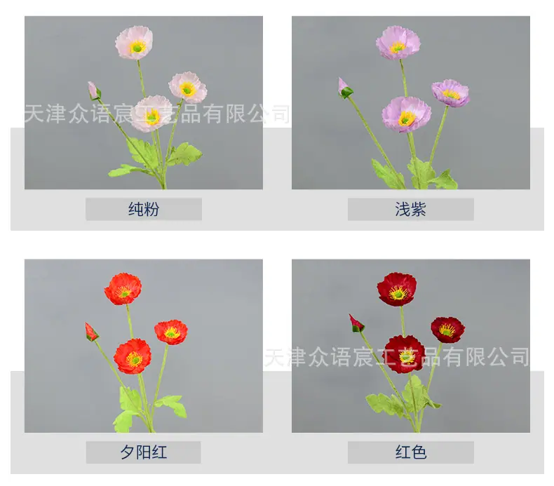 详情_03.jpg