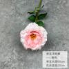 Flor de simulação de casamento 3 cabeças Eustoma estilo pastoral branca decoração de casamento arranjo de flores para guia de caminho decoração de casa comércio exterior flor de seda