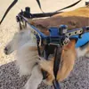 Cão Cadeira de Rodas Paralisia de Membros Traseiros Pet Sóbrio Deficiente Cão Perna Traseira Auxiliar Gato Teddy Grande Suporte de Cão Pequeno