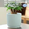 Venta al por mayor y Dropshipping de Macetas de Cerámica Grandes para el Hogar, Estilo Nórdico Simple, para Balcón, Interiores, Sala de Estar, Diámetro Extra Grande