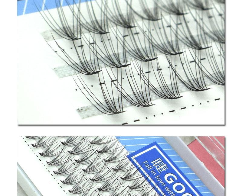 山茶花朵毛-(2)_09