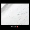 Papel Xuan Floral A4 Papel Yunlong Couro Fibra Timbrado Caneta Macia Caligrafia Escrita Regular Pequena Timbrado Estilo Antigo Fresco