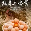 40 piezas de huevos frescos naturales de granja de gallinas de corral auténticas, ricos en nutrientes de Cordyceps, aptos para uso comercial, disponibles para compra al por mayor