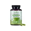Cápsulas Docteat Moringa Soporte Intestinal: Equilibrio Intestinal, Suplemento de Fibra Dietética, Aumenta la Vitalidad y el Confort