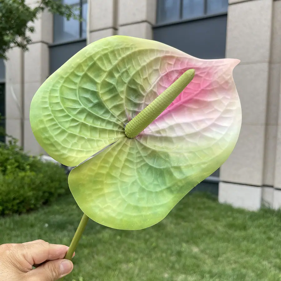 1号3D打印大红掌-xjmlkx 10#浅绿白粉尖.JPG
