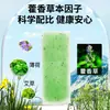 Haier Zhen Ai Tang Parche Refrescante de Verano Huoxiang Extracto Herbal Enfriamiento Físico Prevención de Golpes de Calor Menta Ajenjo Entrenamiento Militar de Verano Viaje