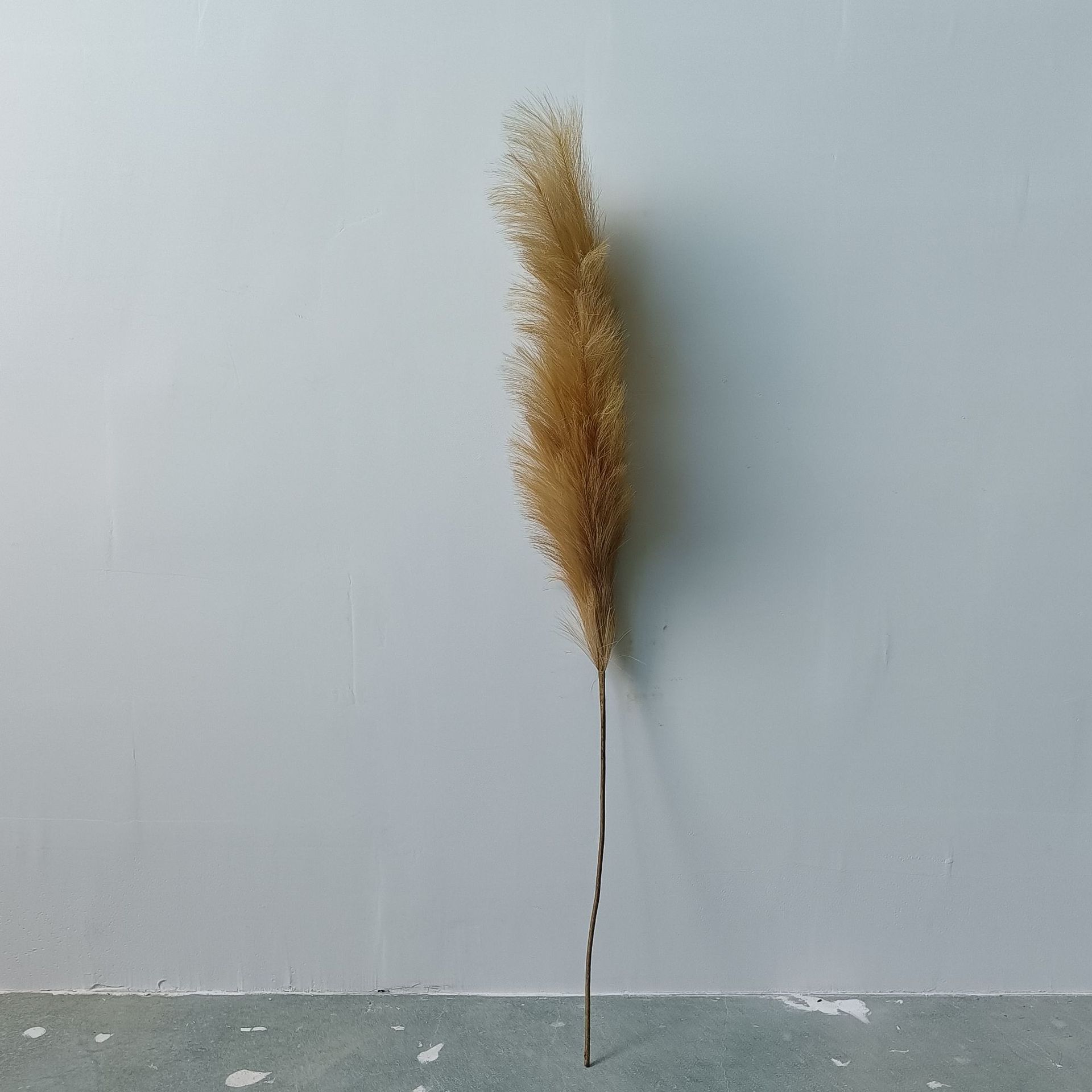 1米芦苇单头3.jpg