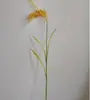 Espigas de Arroz Híbrido: Modelo de Planta de Espiga de Trigo Artificial, Modelo de Campo de Arroz con Espigas de Cebada