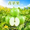 Manzana Verde de Shaanxi, envío directo 1/2/3/5/ 4.5kg manzanas de piel verde, agridulces caja de regalo de fruta nueva, fruta fresca