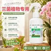 Solución Nutritiva Especializada para Orquídeas y Otras Plantas, Promoviendo Floración Rápida y Flores Abundantes, Adecuada para Jardinería Casera