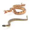 Set de 2 Figuras Realistas de Serpiente, Víbora del Desierto y Serpiente del Bosque de PVC, Figuras Miniatura de Reptiles para Niños, Educación, Aprendizaje de la Naturaleza, Aula