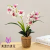 Bonsái de Orquídea Phalaenopsis Artificial Personalizado, Flores Artificiales de Alta Gama, Adornos de Decoración para Interiores, Fabricante de Plantas Artificiales en Maceta, Flores Artificiales de Seda